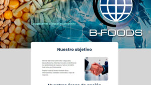 B-foods web